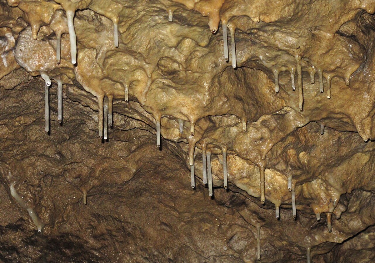 Brestovská jaskyňa