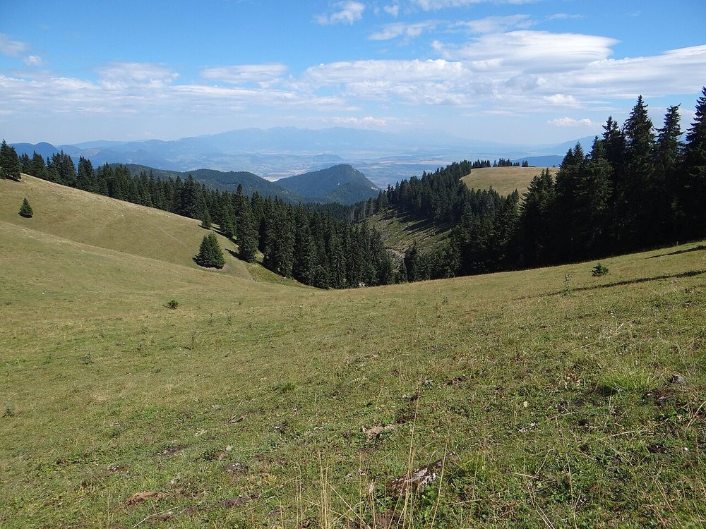 Čutkovská dolina