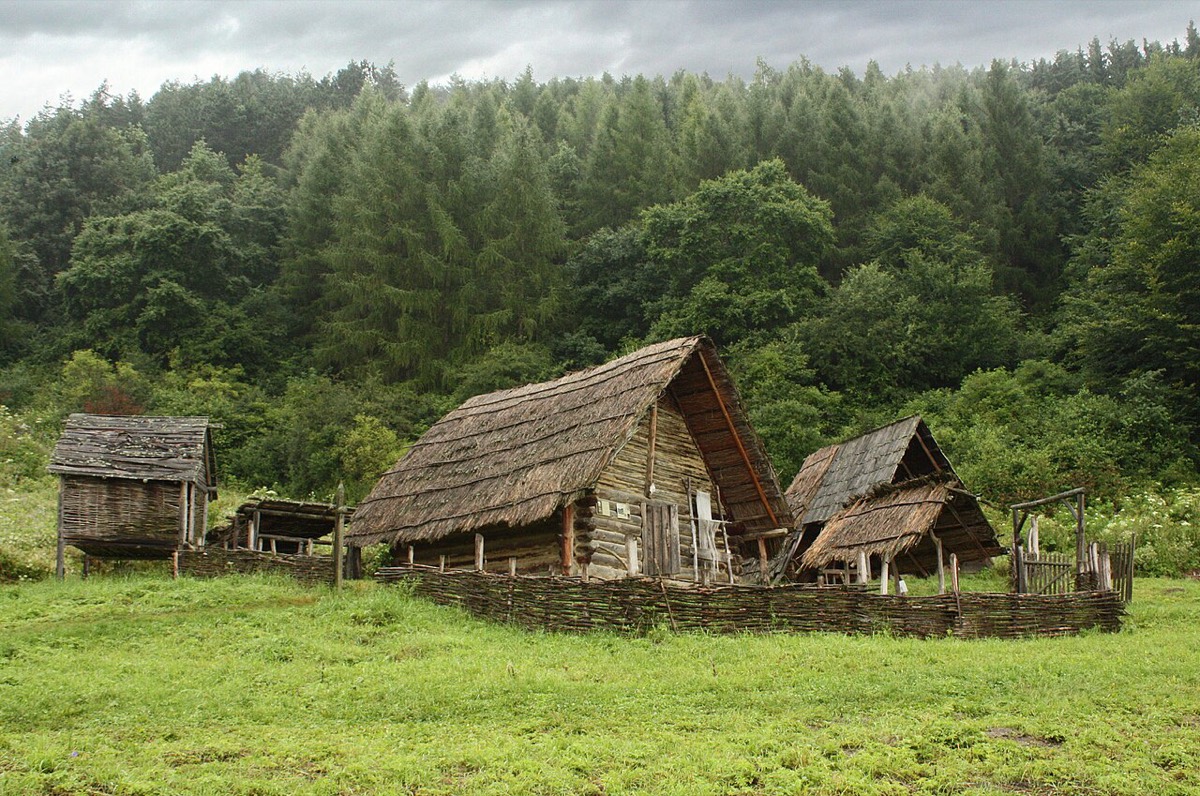 Havránok