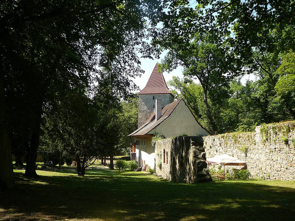 Hrad Zvíkov