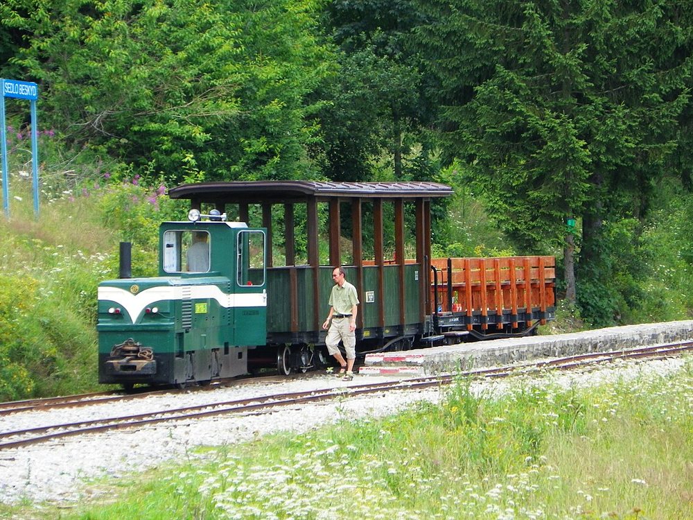Oravská lesná železnica