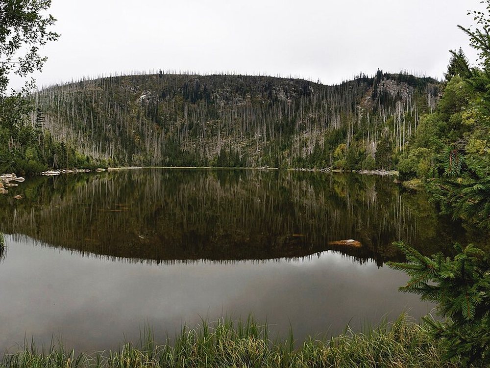 Plešné jezero