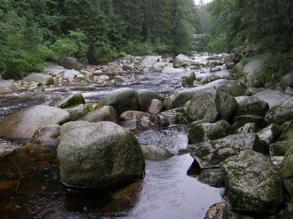 Povydří