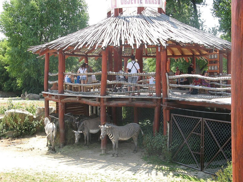 Safari Park Dvůr Králové