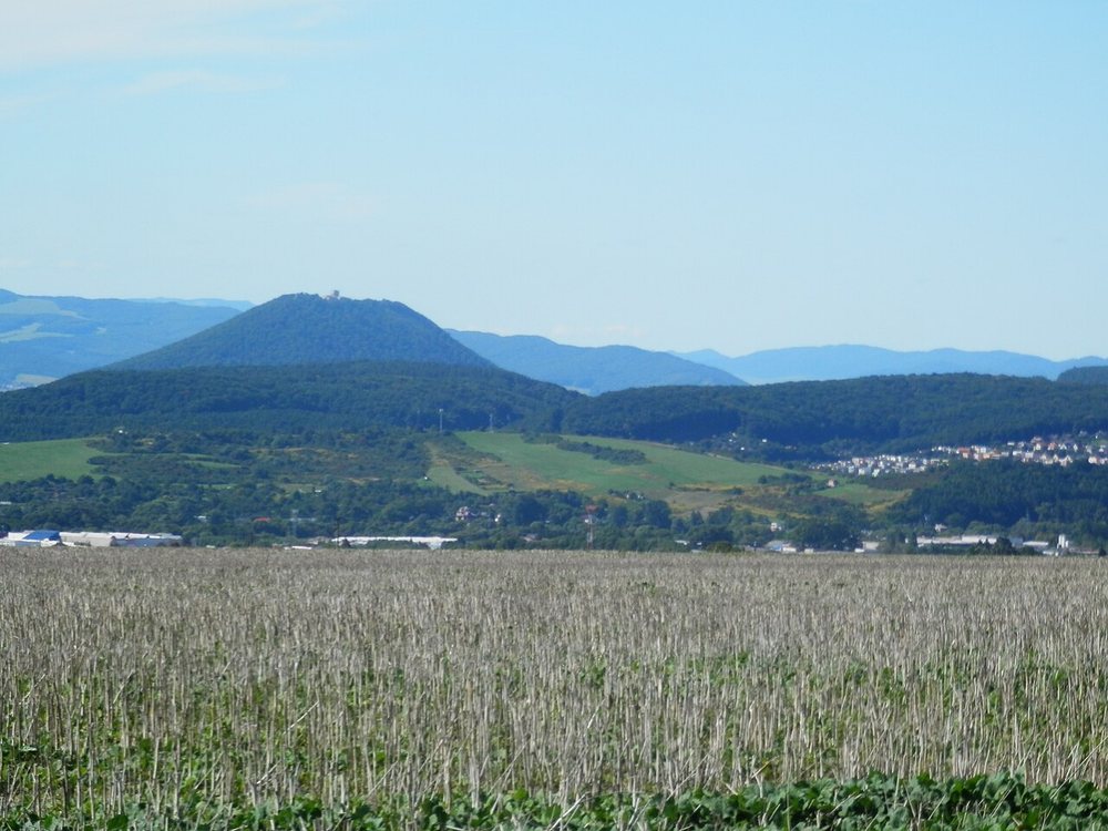 Šarišský hrad
