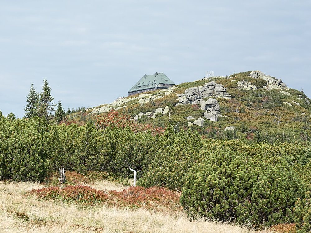 Szrenica