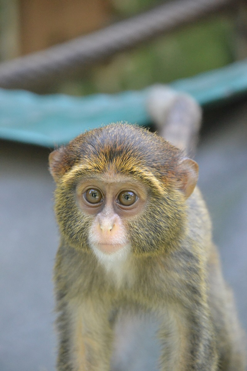 Zoologická záhrada Bratislava